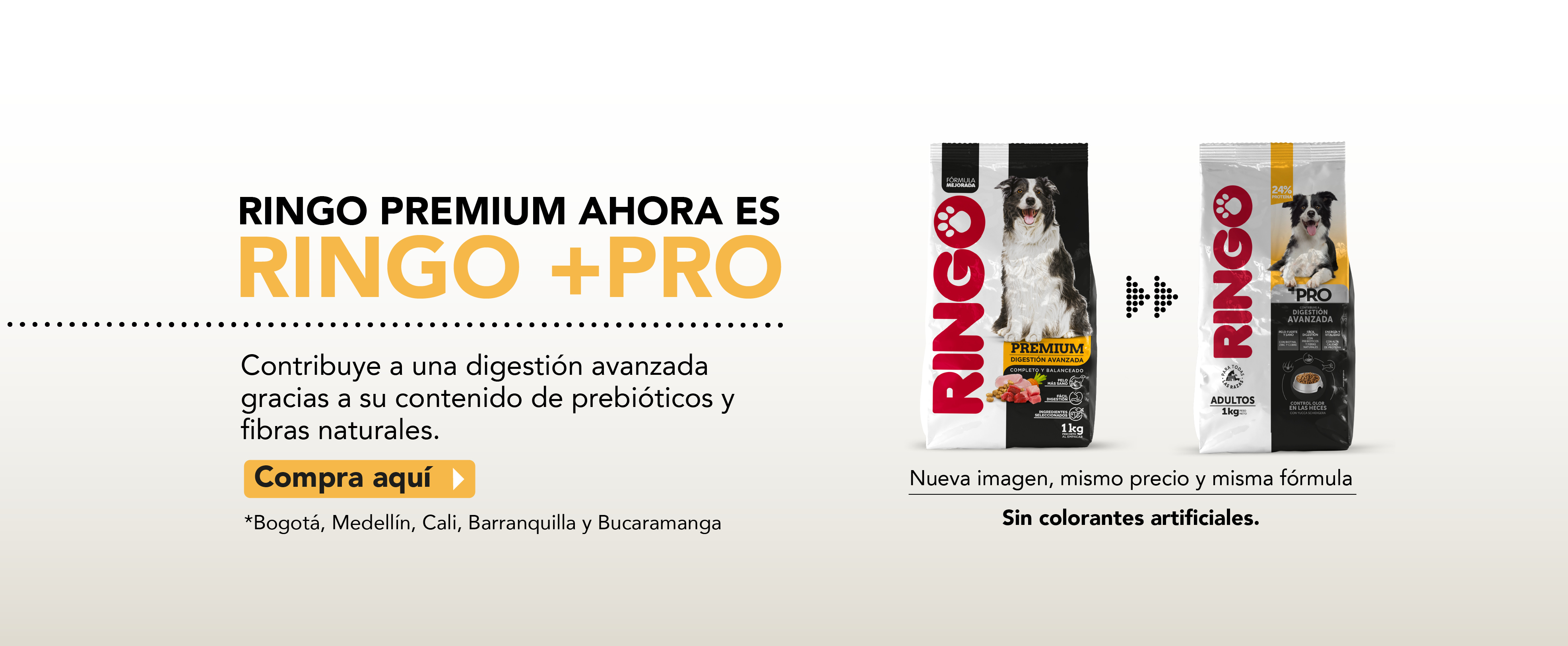 Ringo + Pro adultos